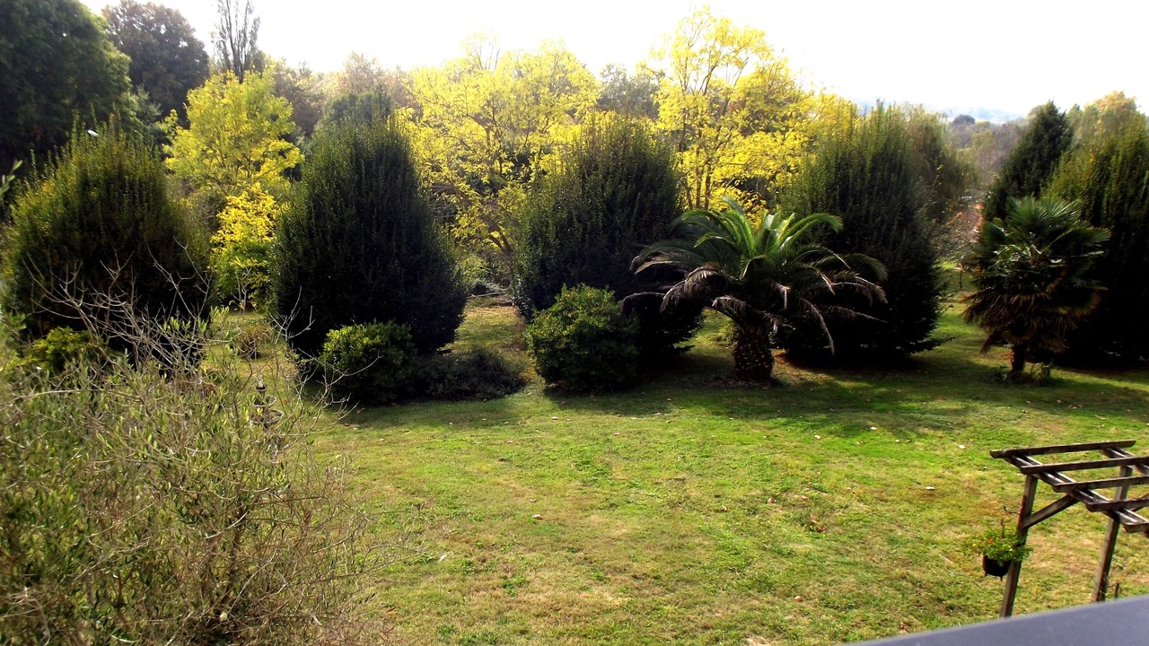 Photo of Outdoor in Riviere-Saas-et-Gourby