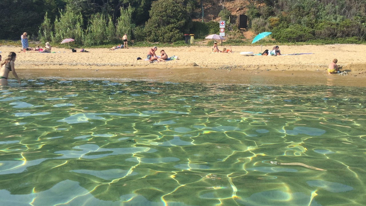 Photo of Others in La Garde-Freinet