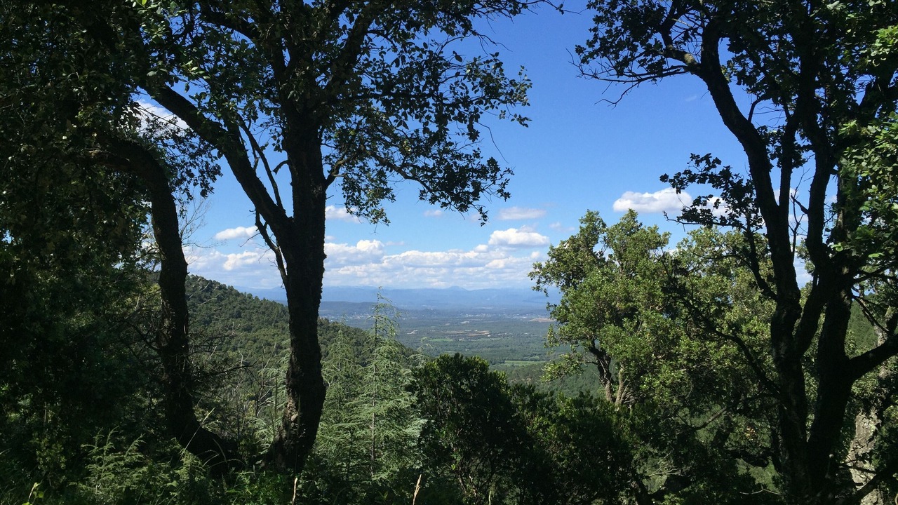 Photo of Outdoor in La Garde-Freinet