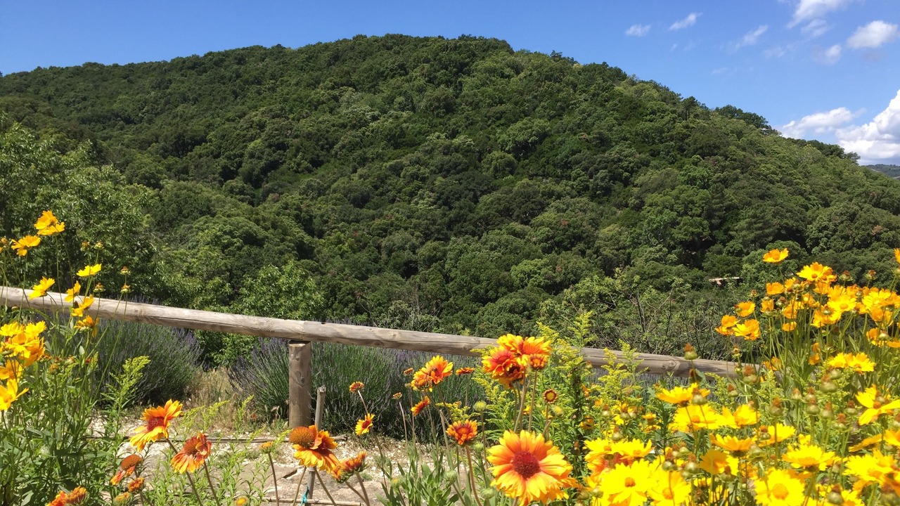 Photo of Outdoor in La Garde-Freinet