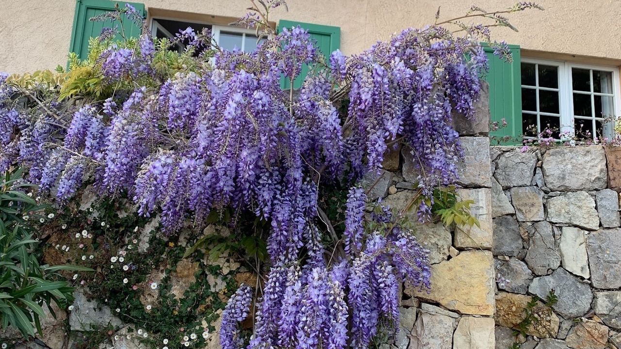 Photo of Outdoor in Cabris