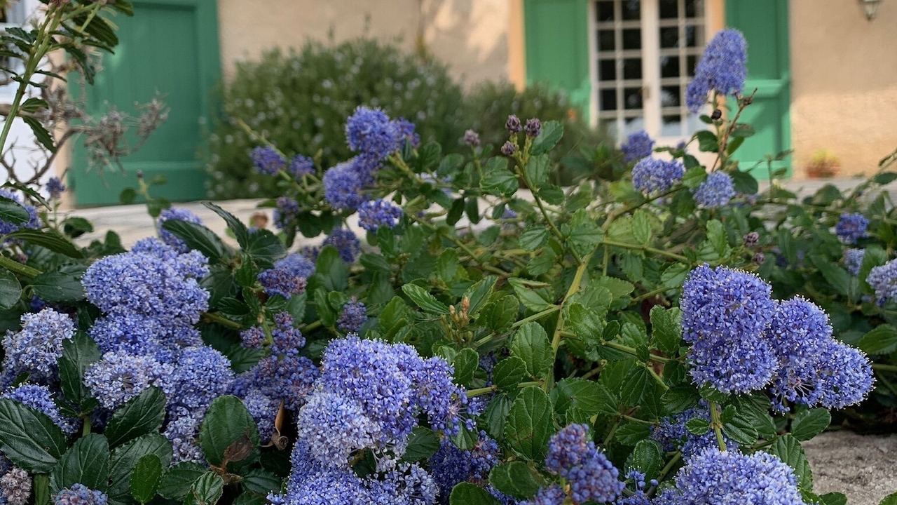 Photo of Outdoor in Cabris