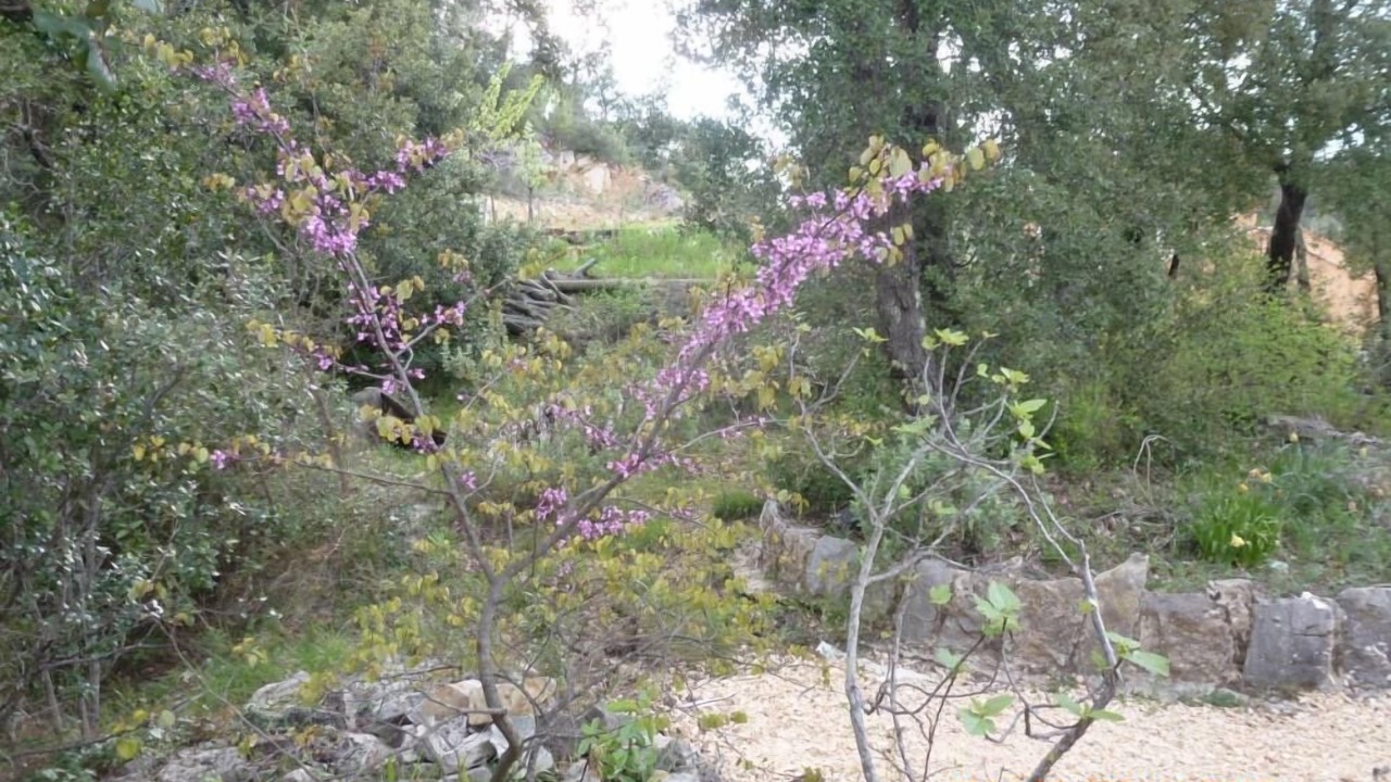 Photo of Outdoor in Meounes-les-Montrieux