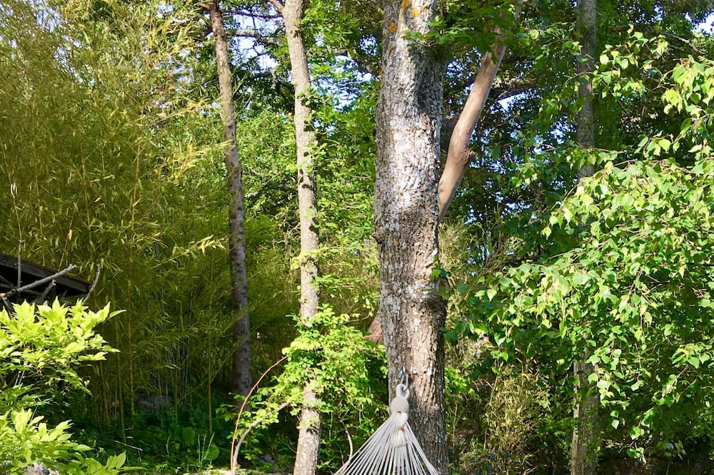 Photo of Outdoor in Coursegoules