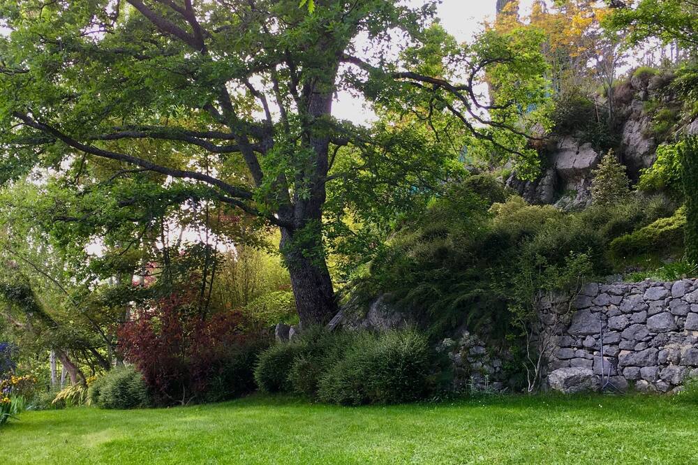 Photo of Outdoor in Coursegoules
