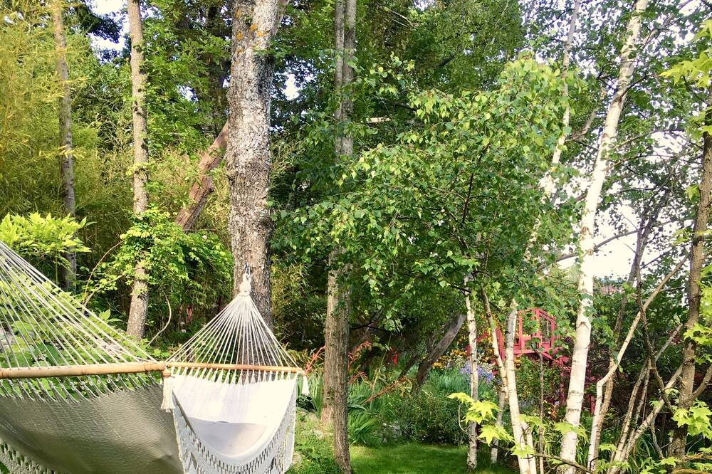 Photo of Outdoor in Coursegoules