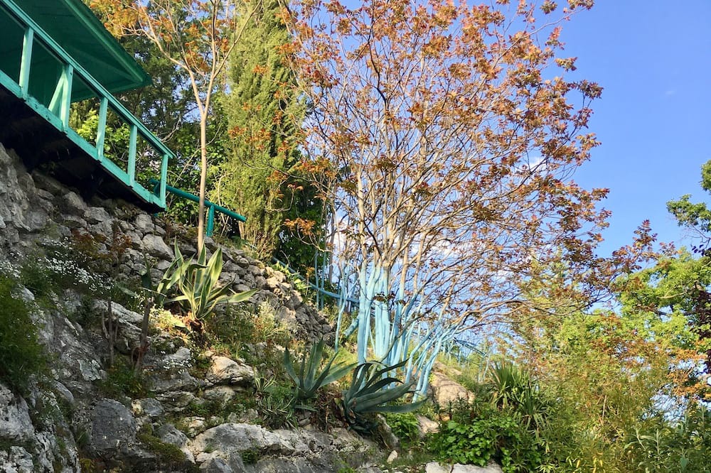 Photo of Outdoor in Coursegoules