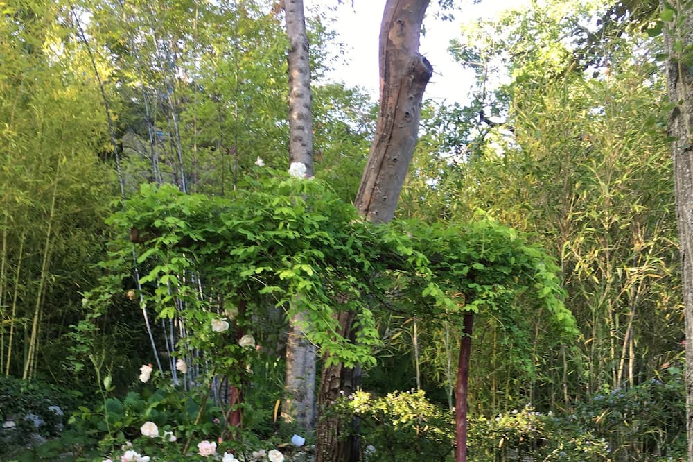 Photo of Outdoor in Coursegoules