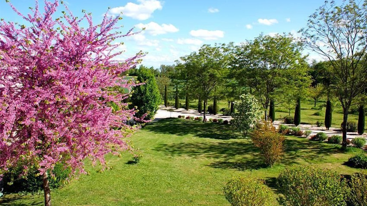 Photo of Outdoor in Fontaines-d'Ozillac