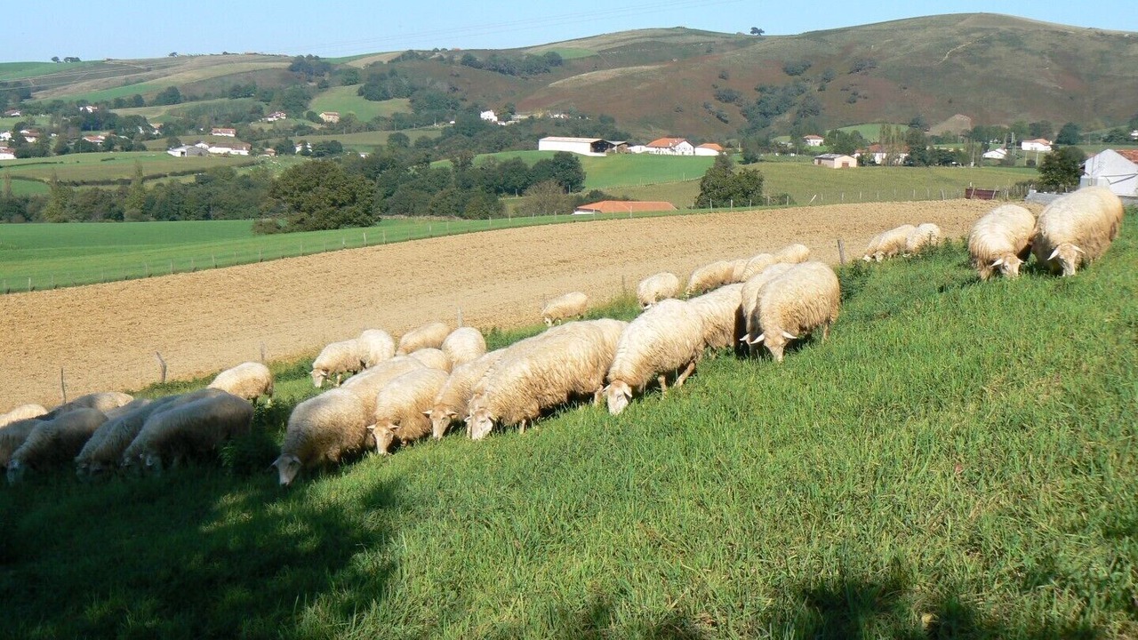 Photo of Outdoor in Saint-Martin-d'Arberoue