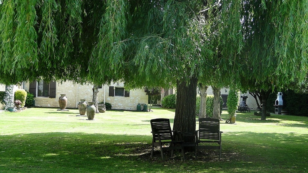 Photo of Outdoor in Montcaret