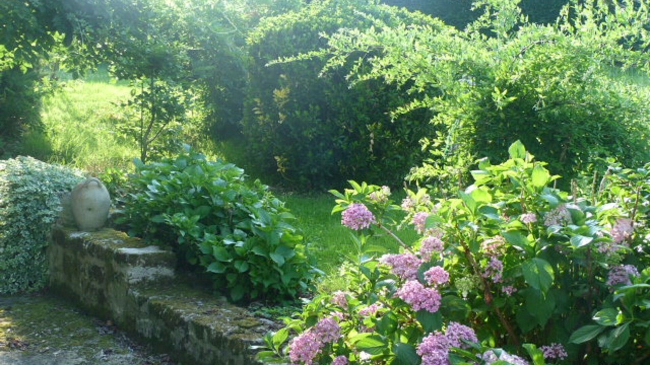 Photo of Outdoor in Oriolles