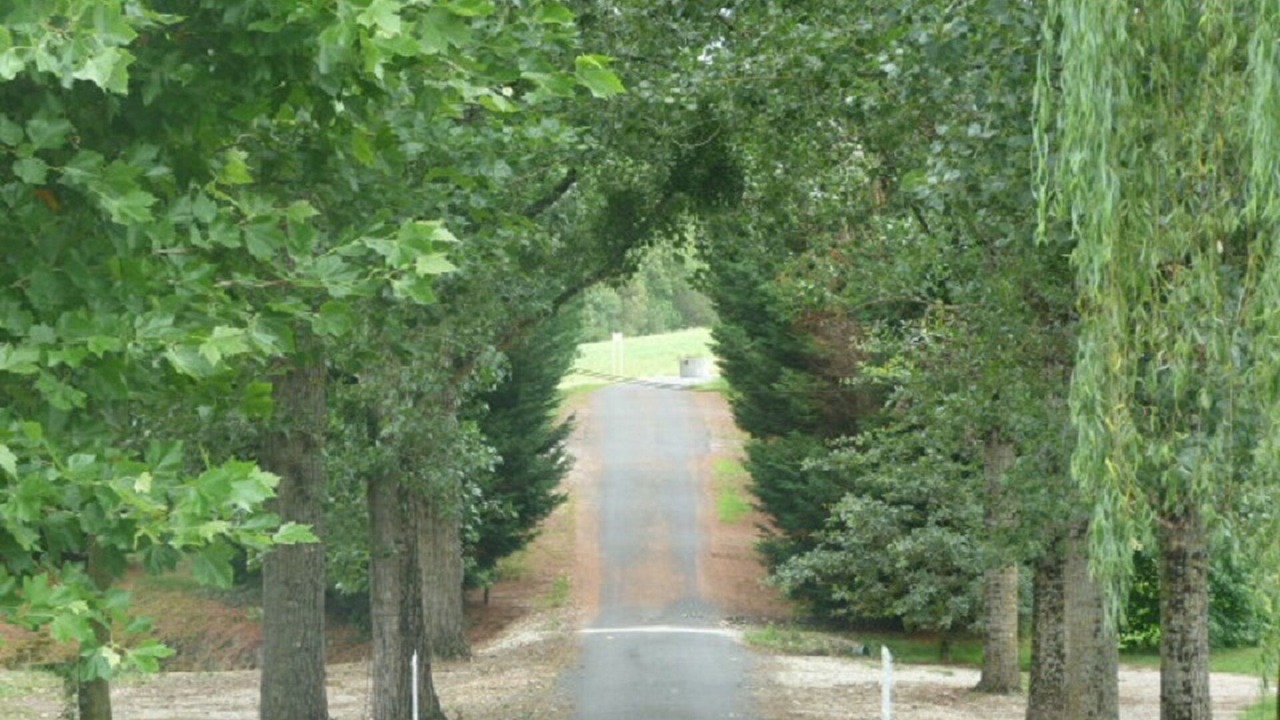 Photo of Outdoor in Oriolles