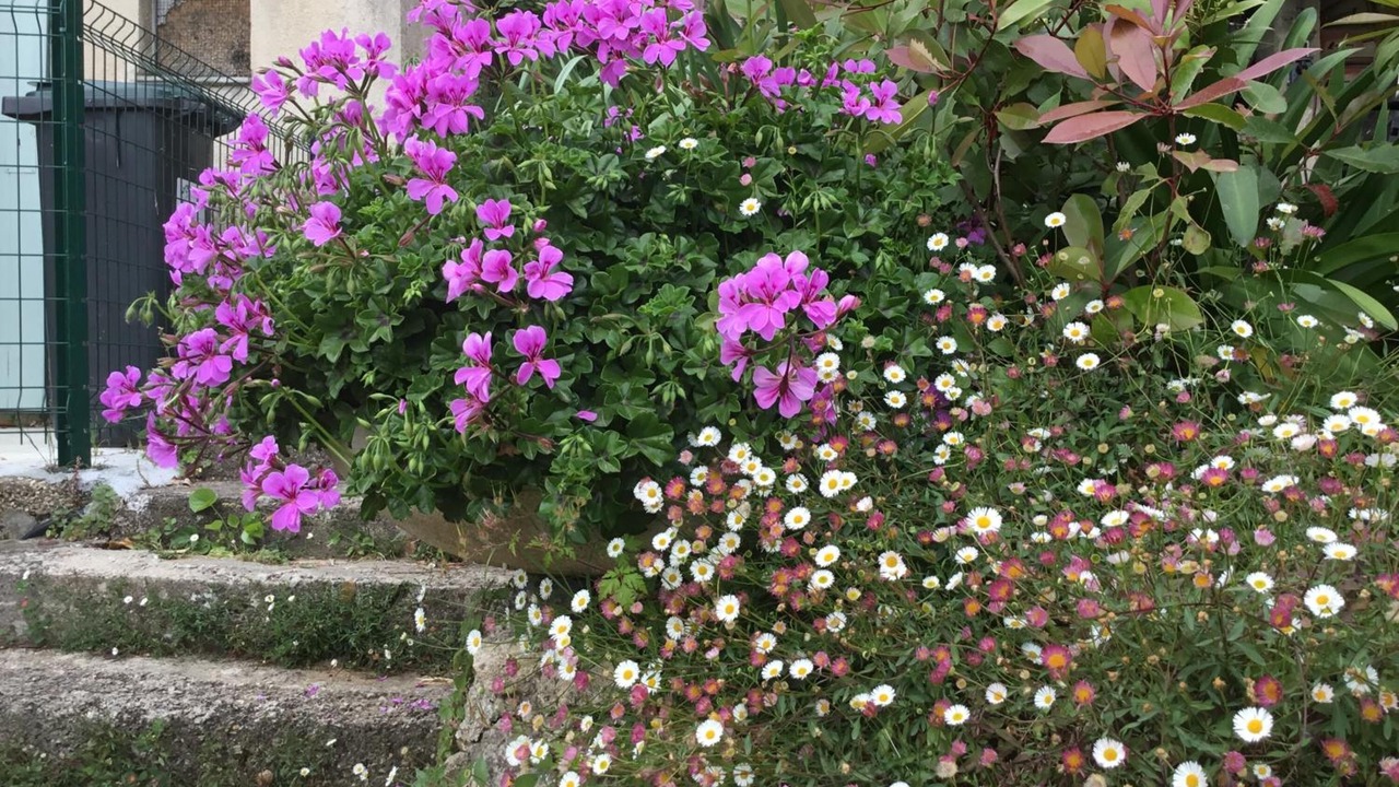 Photo of Outdoor in Grasse