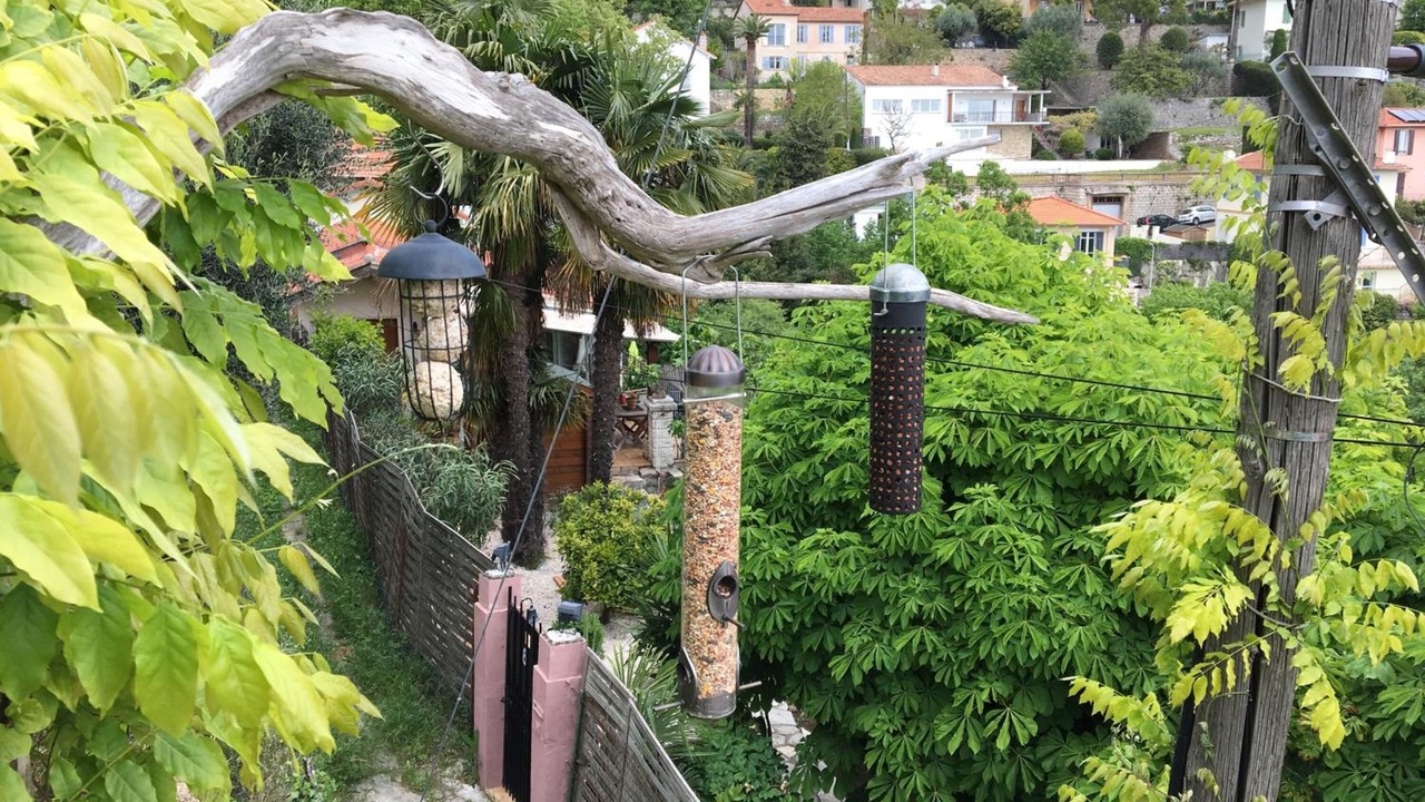 Photo of Outdoor in Grasse