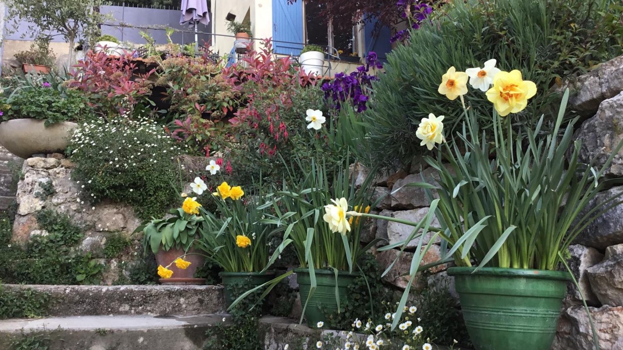 Photo of Outdoor in Grasse