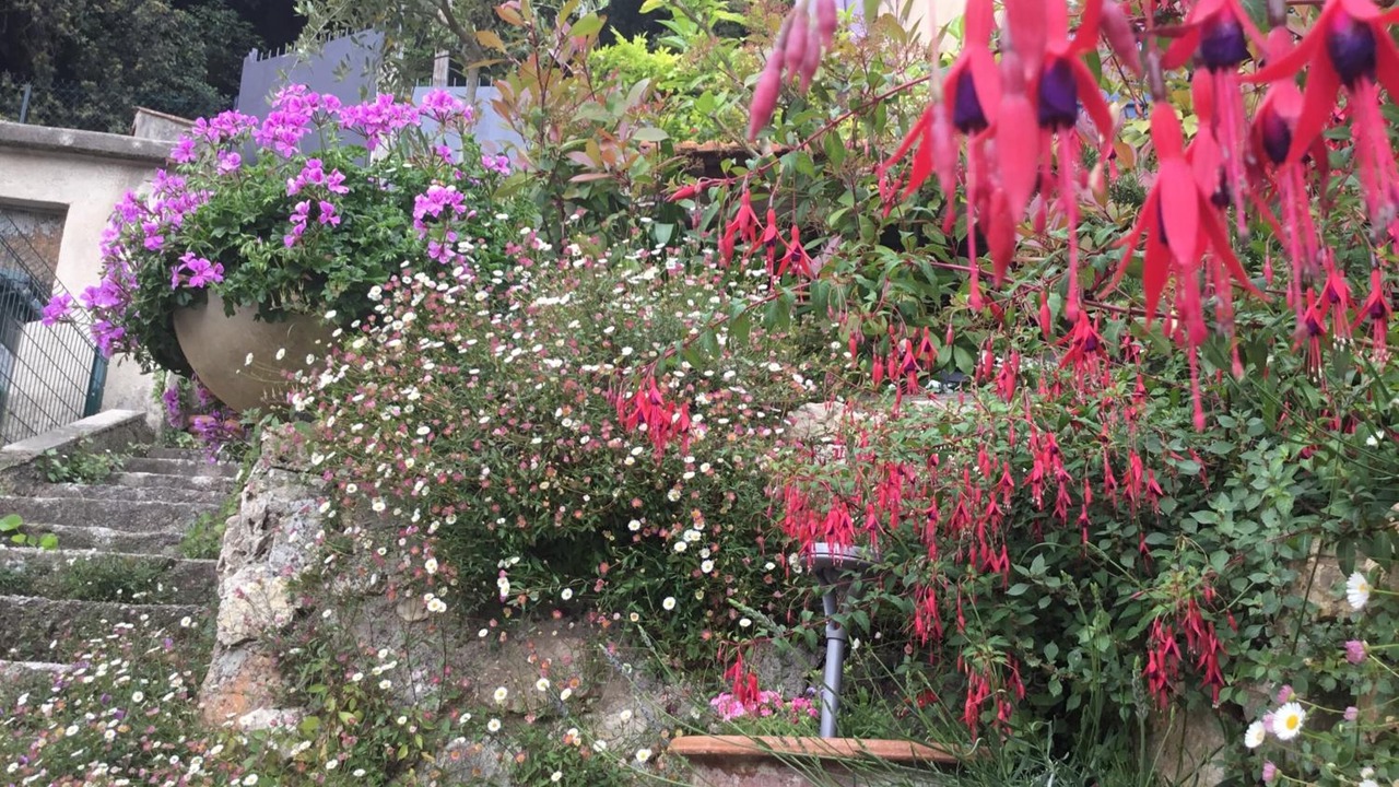 Photo of Outdoor in Grasse