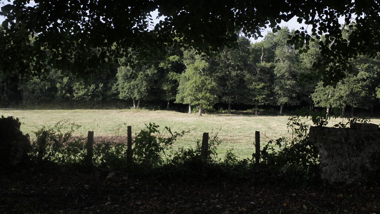 Photo of Outdoor in Marennes