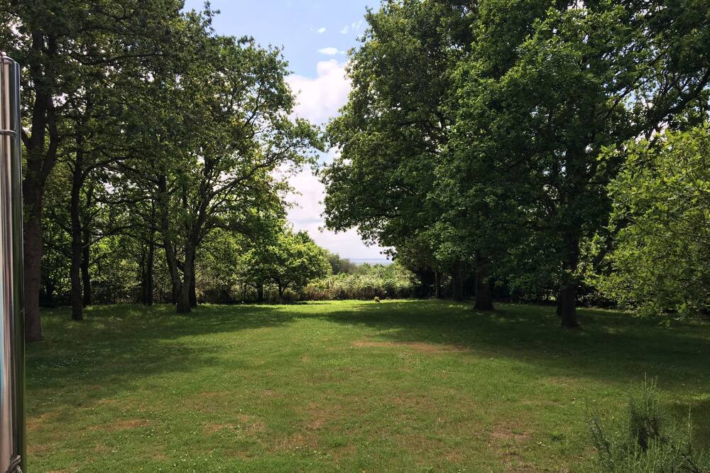 Photo of Outdoor in Guerande