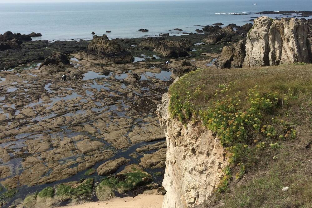 Photo of Others in Guerande