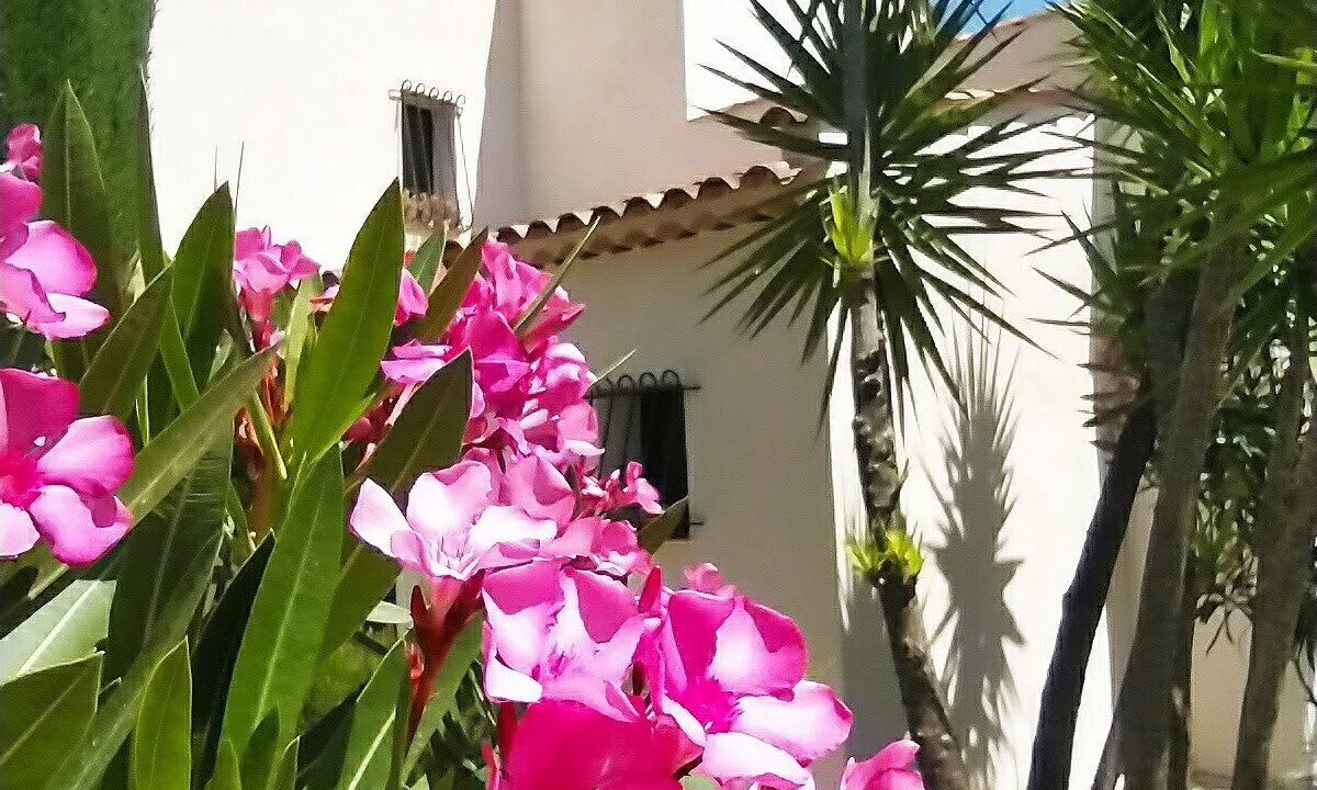 Photo of Outdoor in Vence