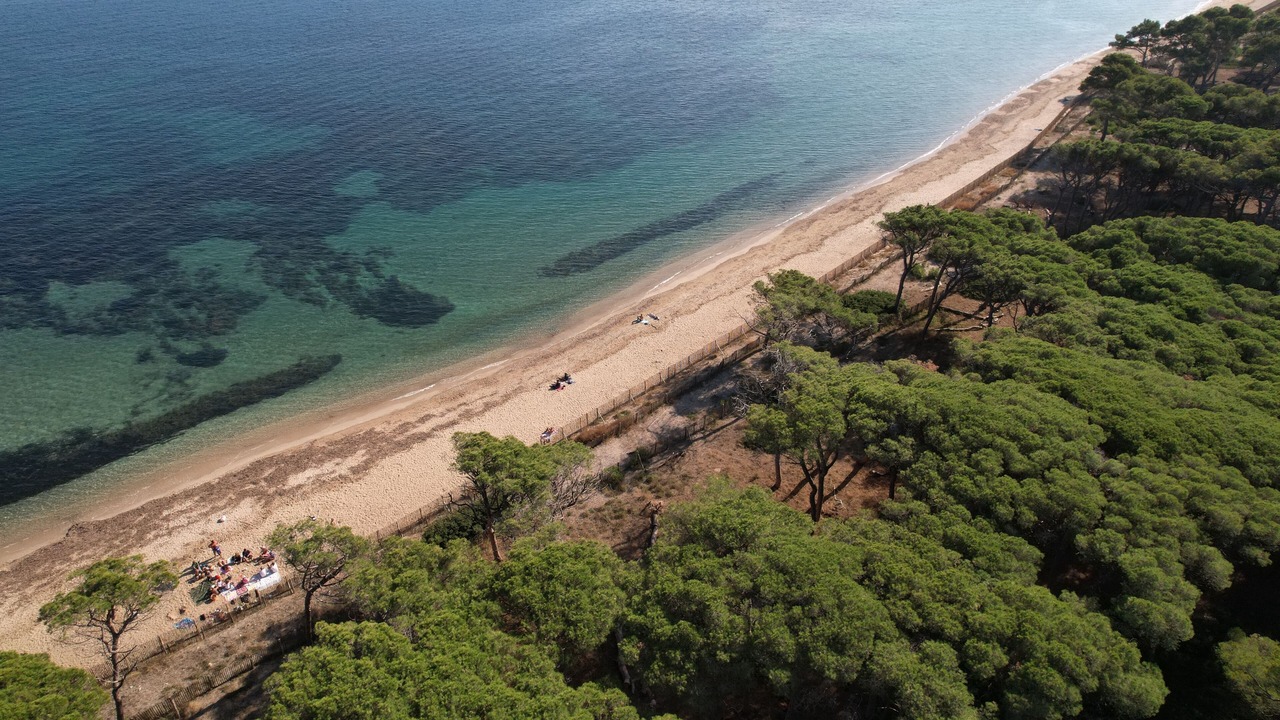 Photo of Others in Hyeres