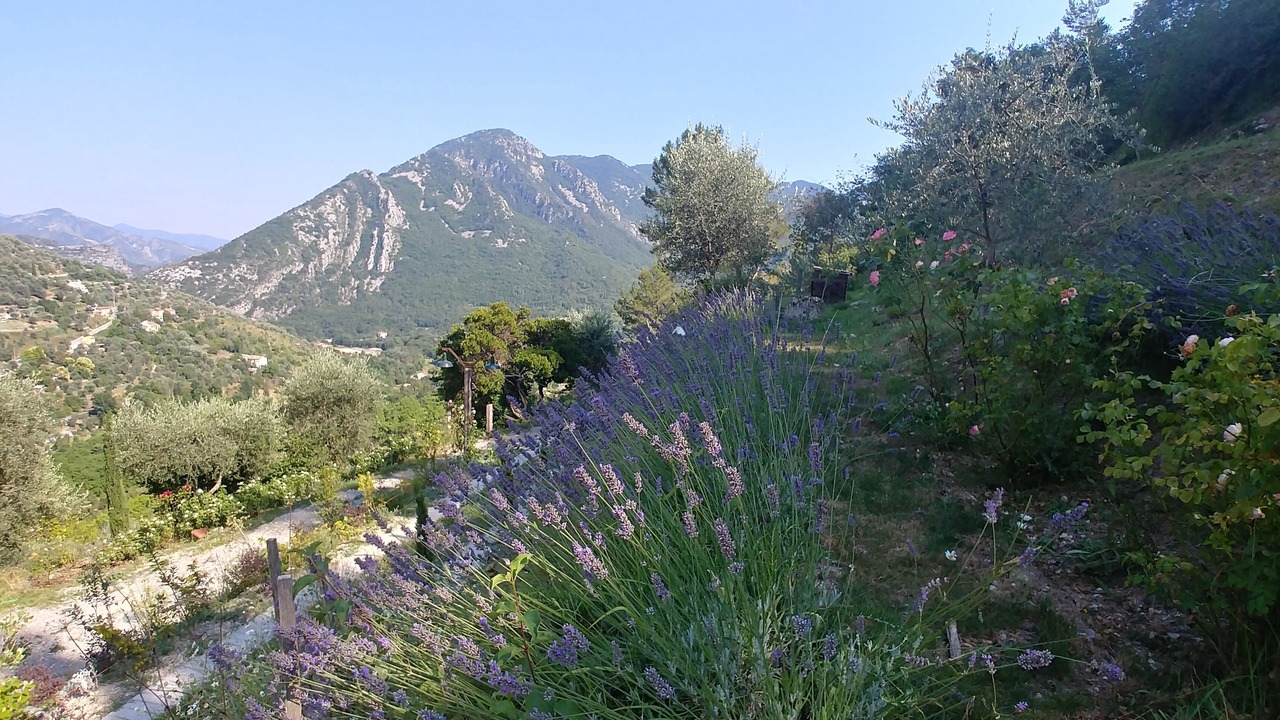 Photo of Outdoor in Sospel