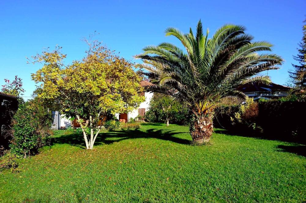 Photo of Outdoor in Saubrigues