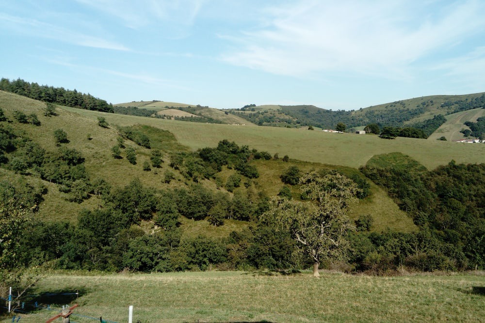Photo of Others in Osses