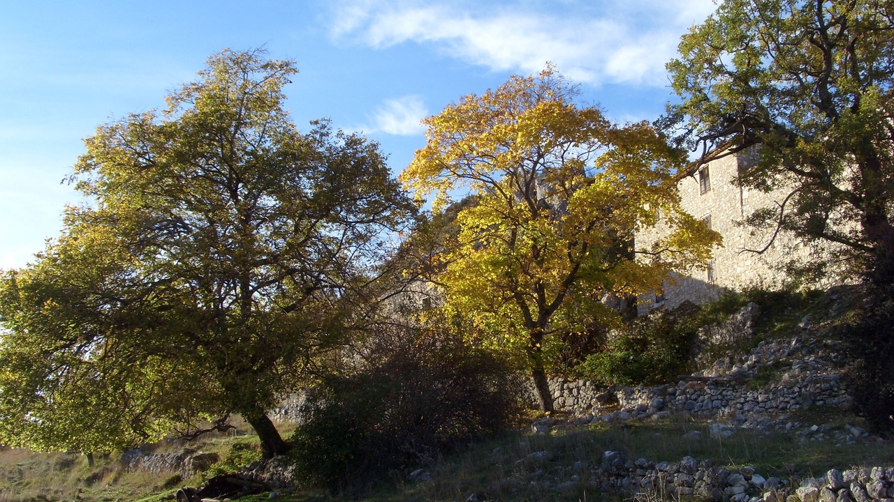Photo of Outdoor in Coursegoules