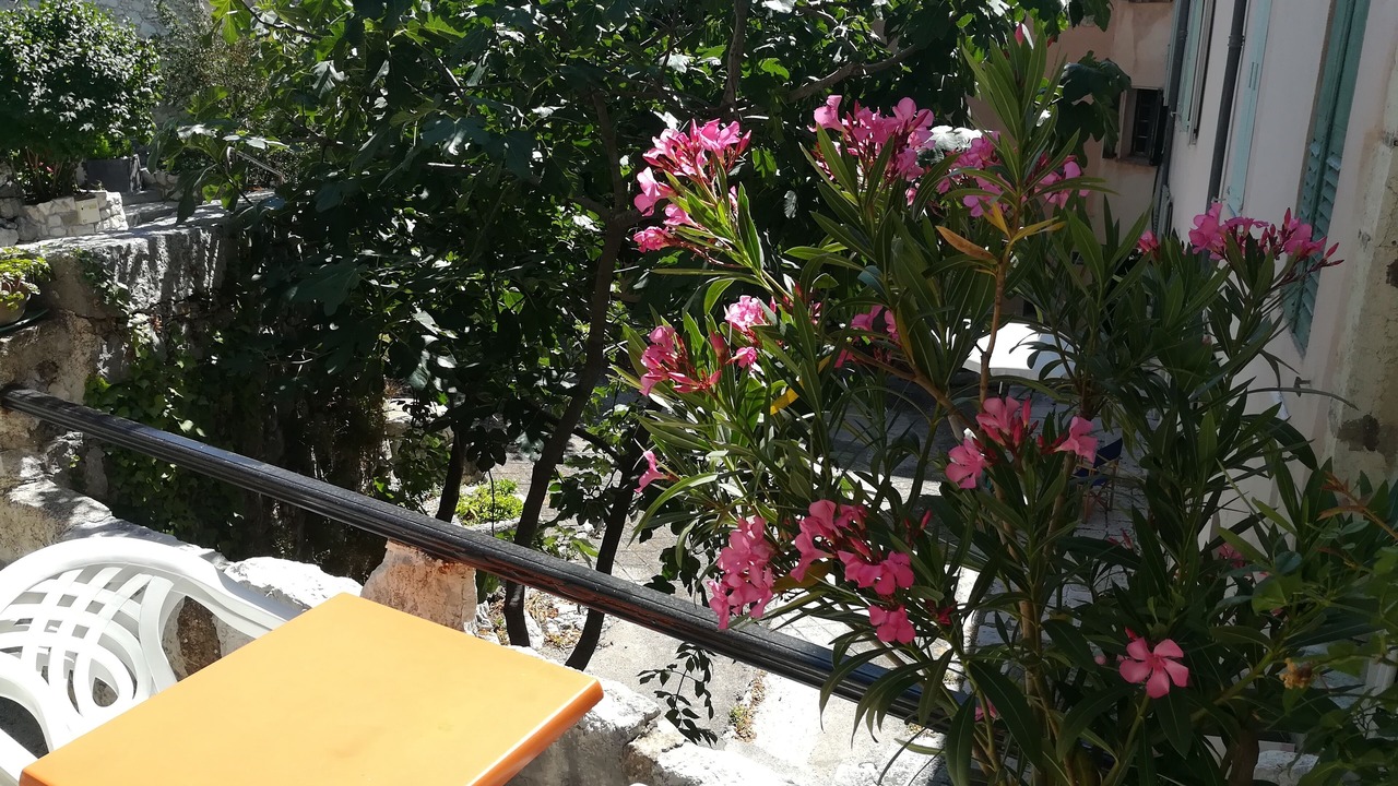 Photo of Outdoor in Coursegoules
