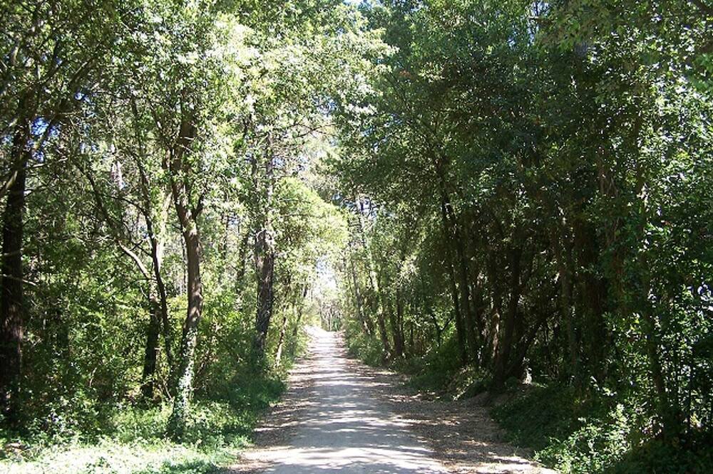 Photo of Outdoor in Fromentine