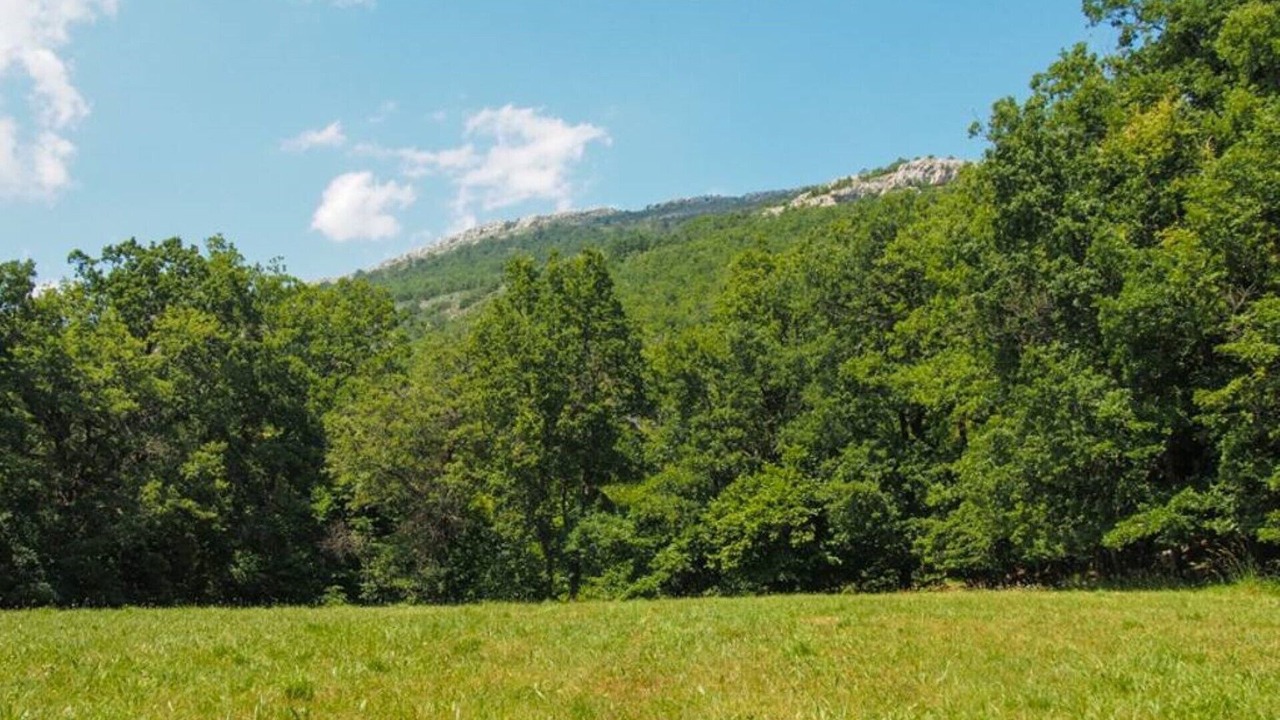 Photo of Outdoor in Saint-Vallier-de-Thiey