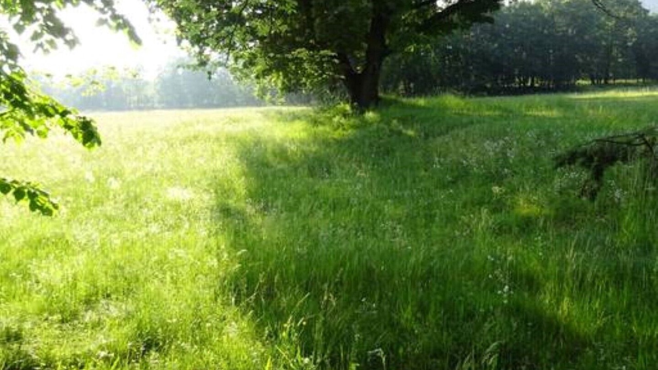 Photo of Outdoor in Saint-Vallier-de-Thiey