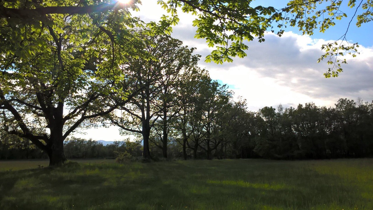 Photo of Outdoor in Saint-Vallier-de-Thiey