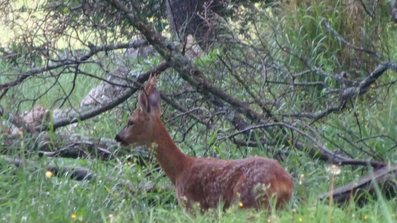 Photo of Outdoor in Saint-Vallier-de-Thiey