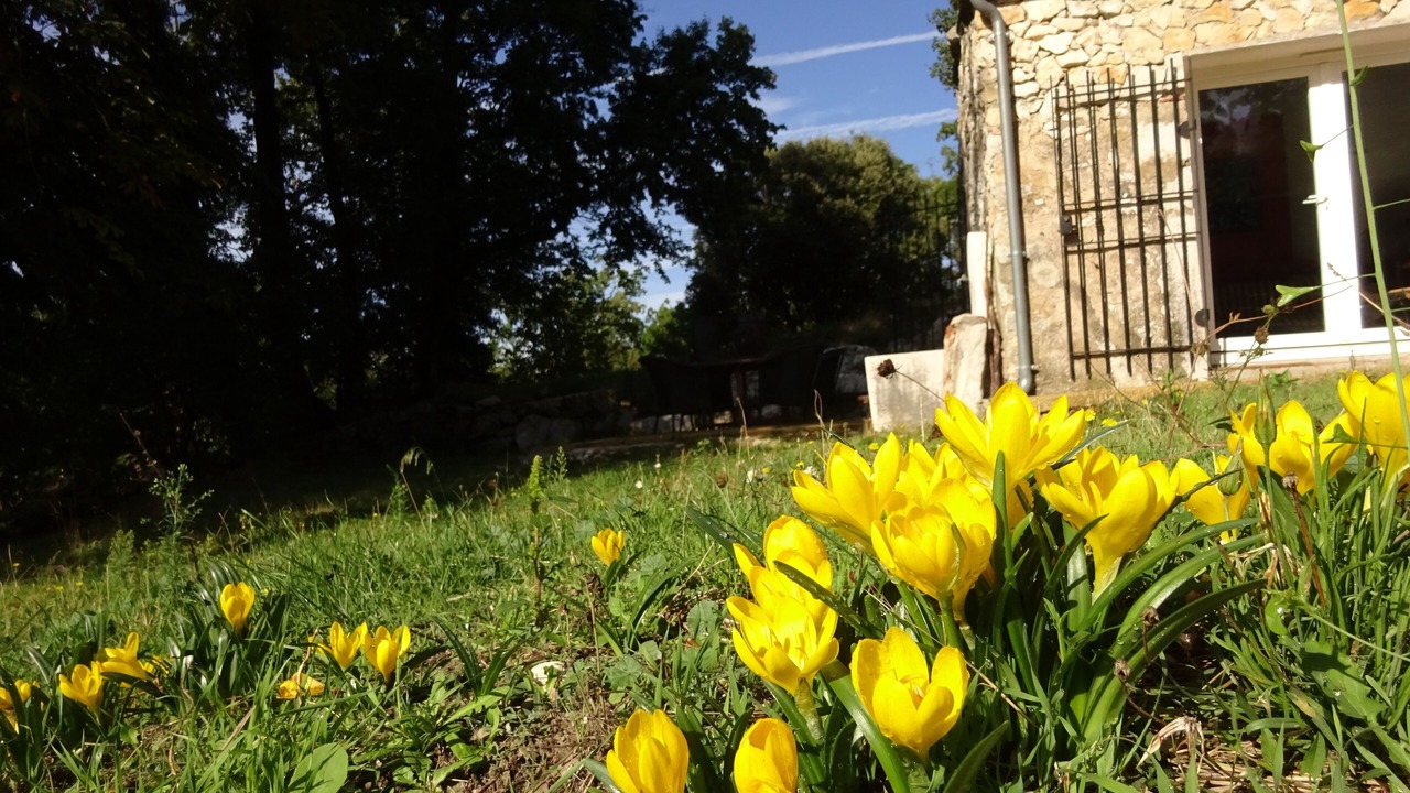 Photo of Outdoor in Saint-Vallier-de-Thiey