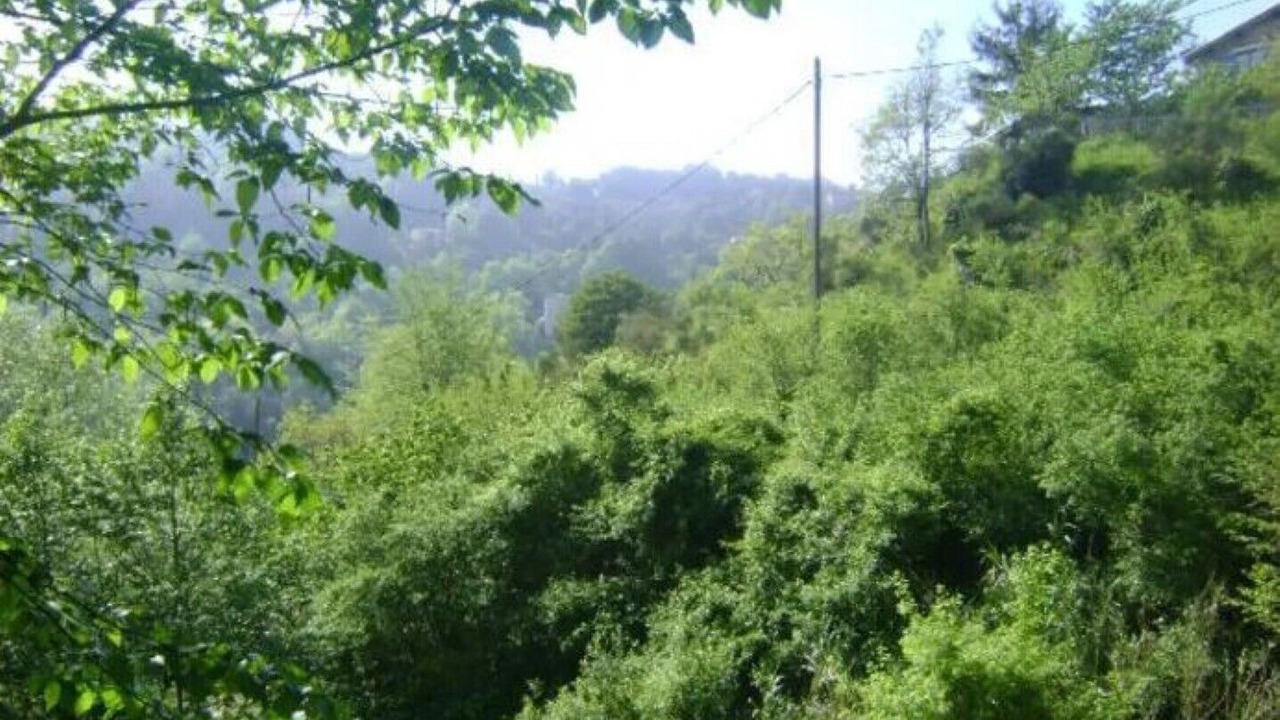 Photo of Outdoor in Castillon