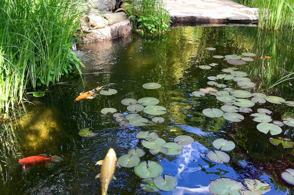 Photo of Outdoor in Coursegoules