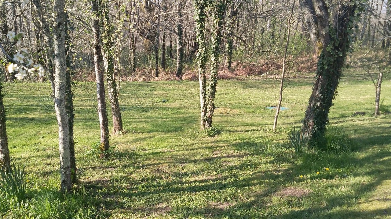 Photo of Outdoor in Augignac