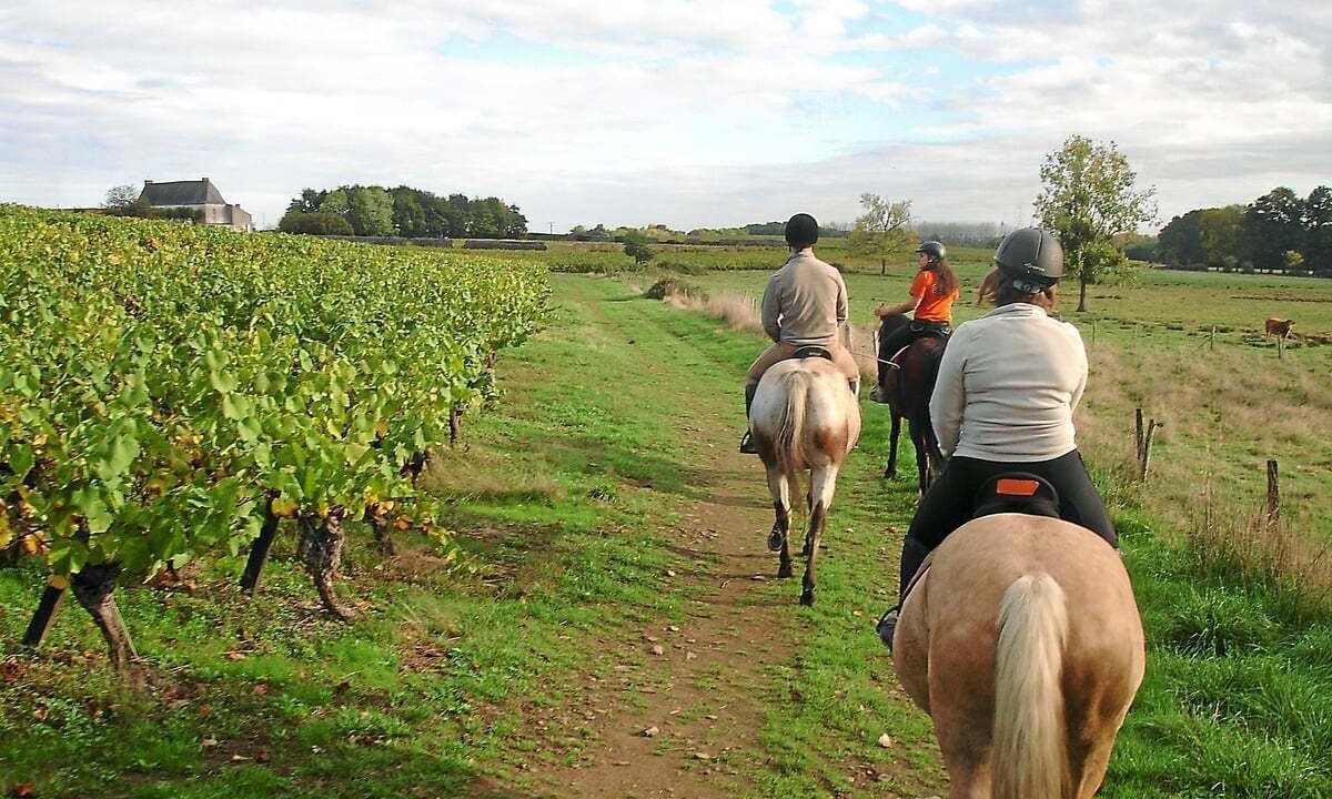 Photo of Outdoor in Jau-Dignac-et-Loirac