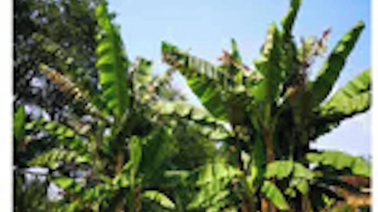 Photo of Outdoor in Saint-Jean-de-Marsacq