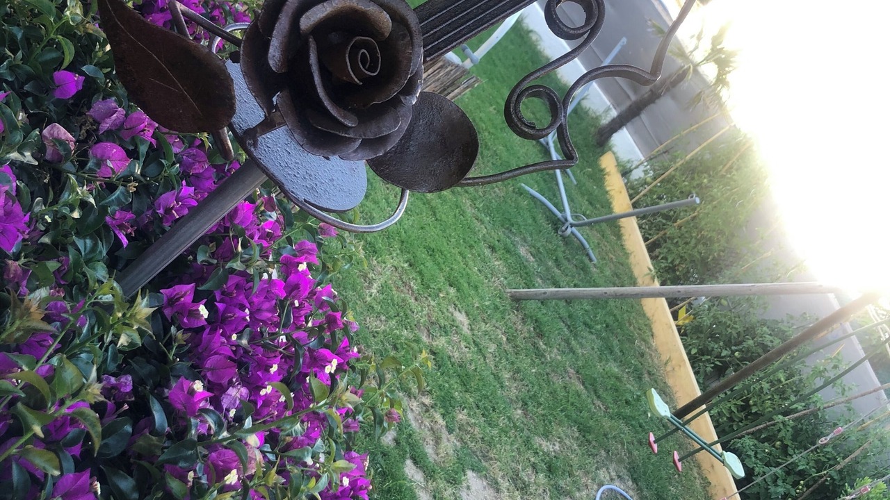 Photo of Outdoor in La Bocca Nord
