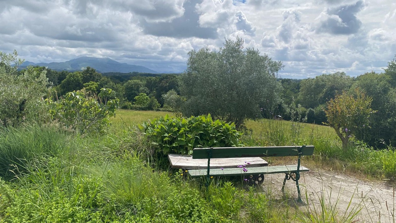 Photo of Outdoor in Arbonne