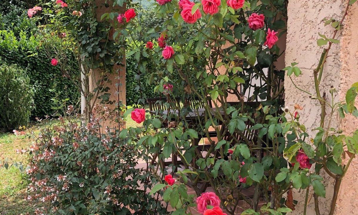 Photo of Outdoor in Sospel