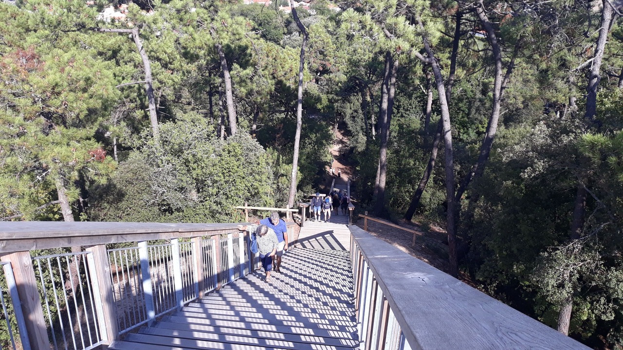 Photo of Outdoor in La Barre-de-Monts