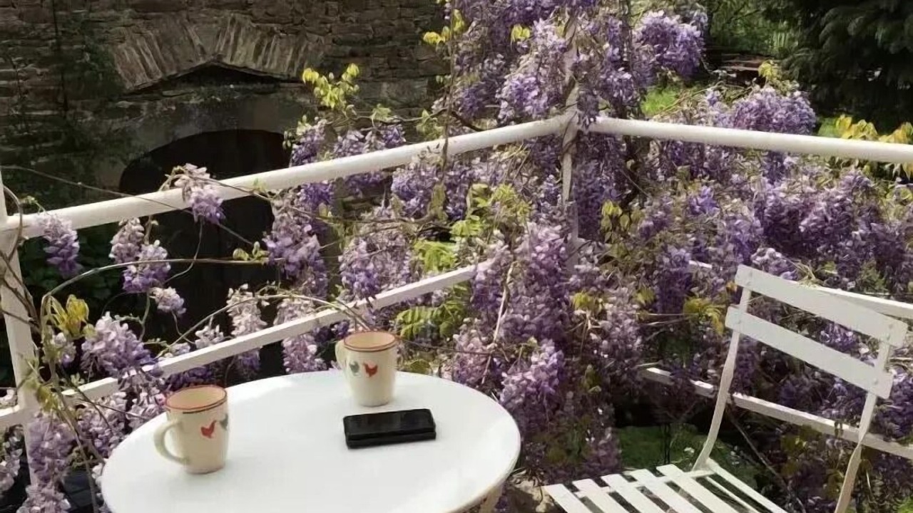 Photo of Outdoor in Le Pescher