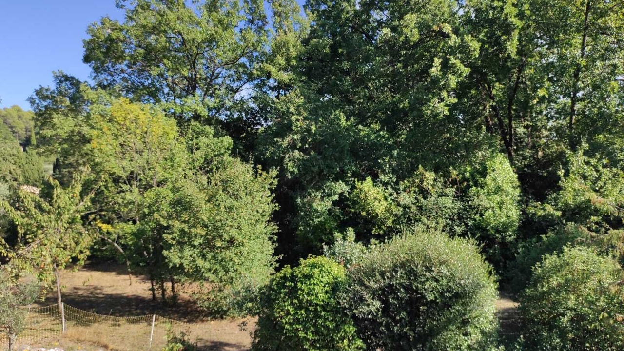 Photo of Outdoor in Cabris