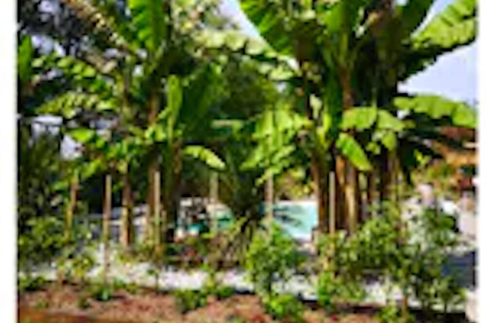 Photo of Outdoor in Saint-Jean-de-Marsacq