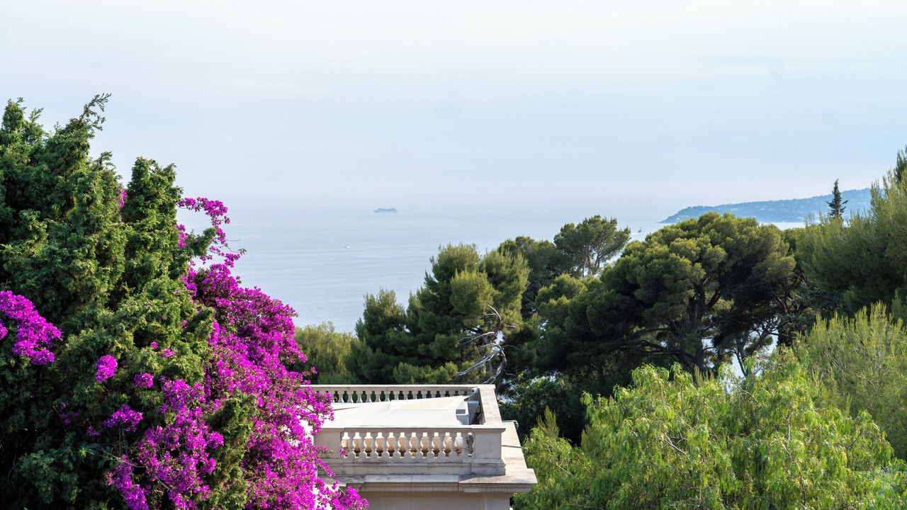 Photo of Others in Cap d'Ail